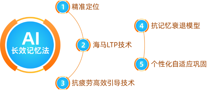 五步长效记忆法